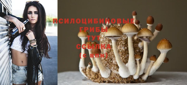 кристаллы Пролетарск