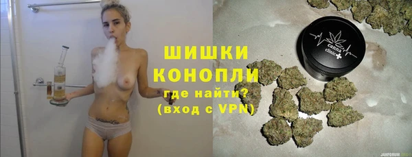 ГАЛЛЮЦИНОГЕННЫЕ ГРИБЫ Заводоуковск