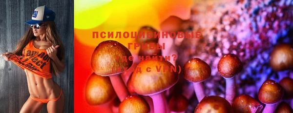 гашик Кирсанов