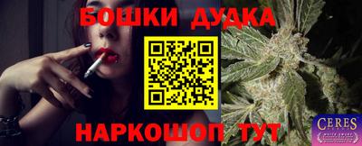 гашик Жуковский