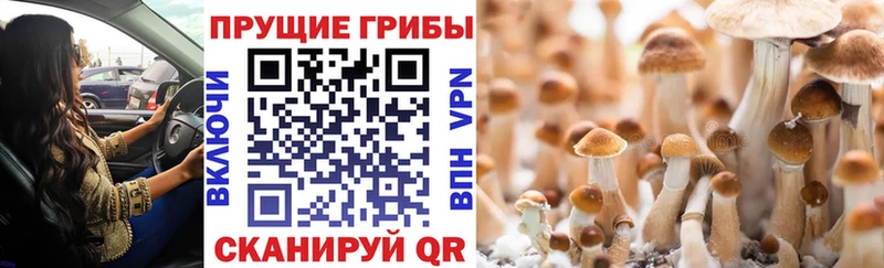 Псилоцибиновые грибы GOLDEN TEACHER  Соль-Илецк 
