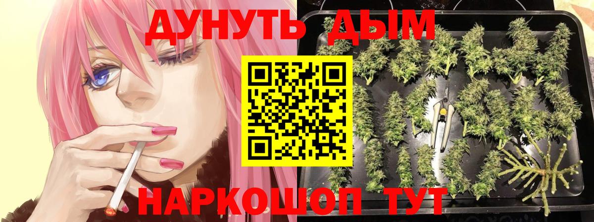 Шишки марихуана Bruce Banner Соль-Илецк